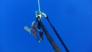 The end of the rope, just where the divers were attached. It is hard to believe that this is under water, it is so clear!