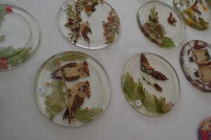 Beautiful Coasters made out of little seeds and petals caught in the resin.