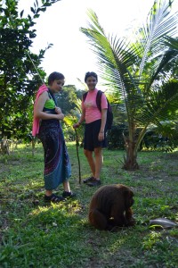 The Howler monkey as seen on the way back. With Karin J and Sophia