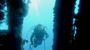 Sophia diving on the wreck in Bequia