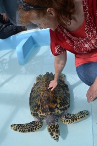 Mom and the "pet" turtle