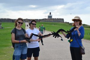 This photo was taken in front of Fort El Morro. We try to take pictures of the Night Fury Soft Toys at strategic places to show thatthey really did travel the world. We are trying our best to show that they are actually flying. 